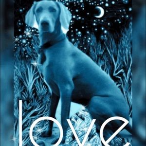 Editography of my beloved Nike Bordeaux💜🐾❤️